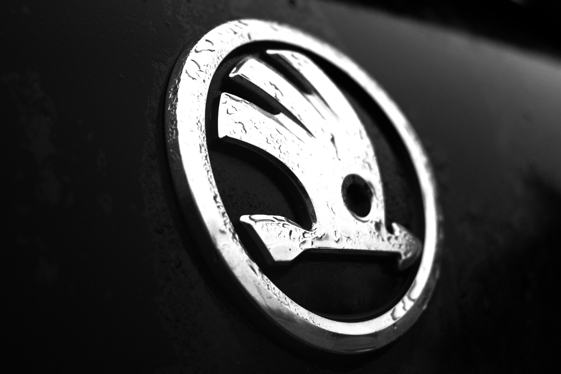 logo-skody