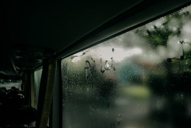 para na szybie samochodowej